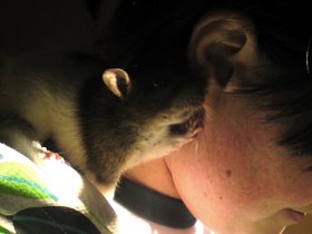 19------ Harry, telling Sarah a secret (c) John Lally.jpg